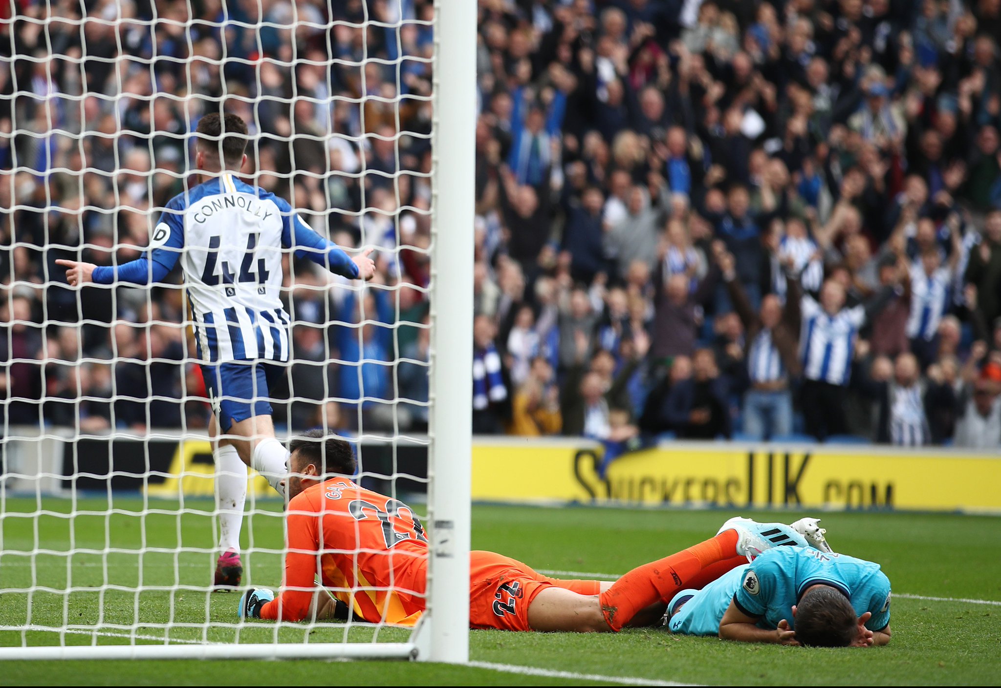 球迷的支持 球迷的支持